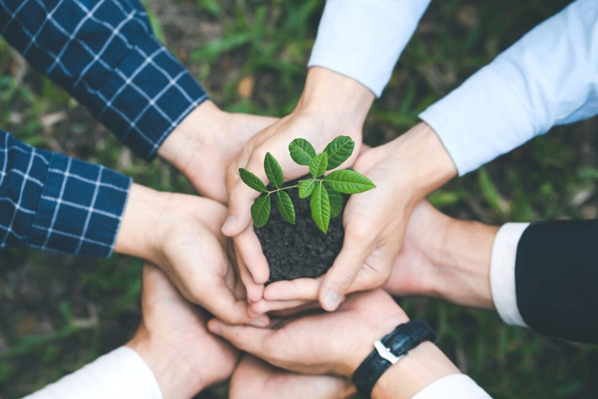 Our Commitment to Sustainability